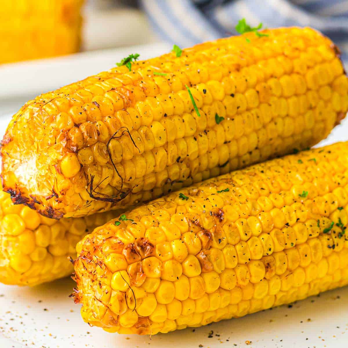 Roasted corn on the cob placed on a white plate