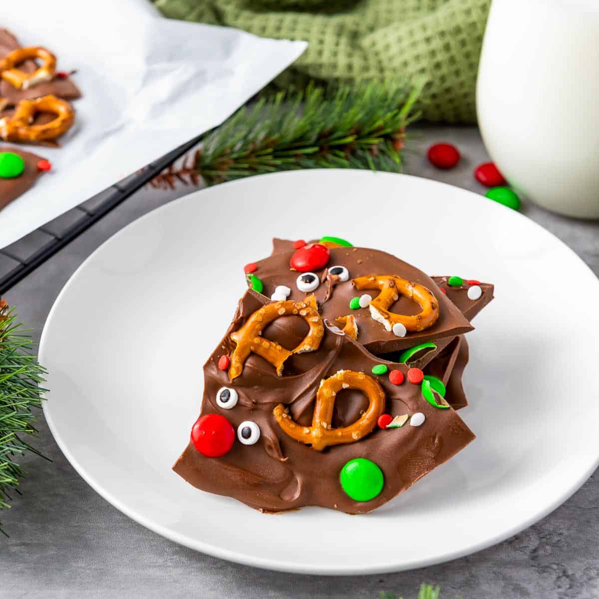 Pieces of chocolate bark on a white plate.