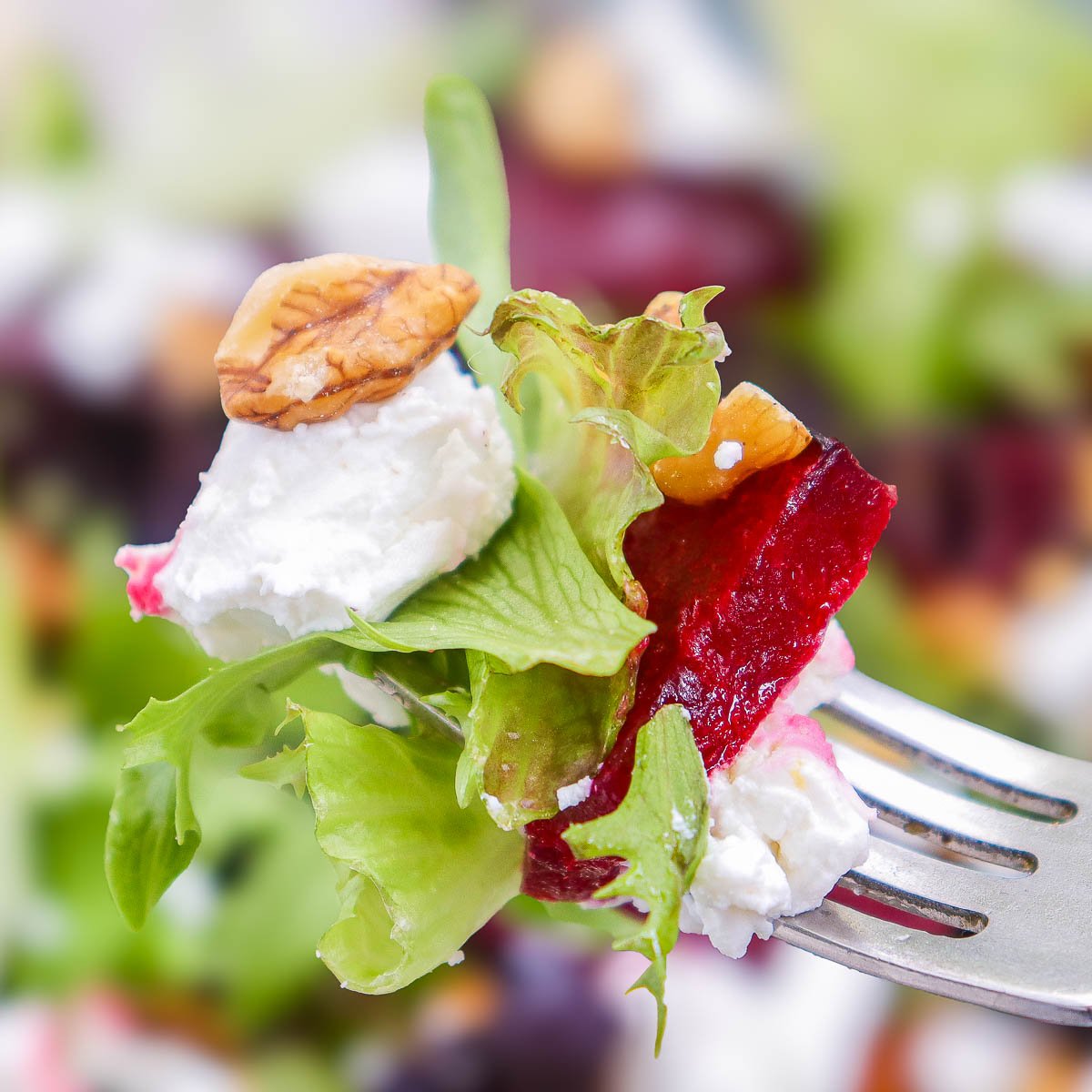Forkful of beet salad showing goat cheese, beet slice, walnut, and fresh greens.