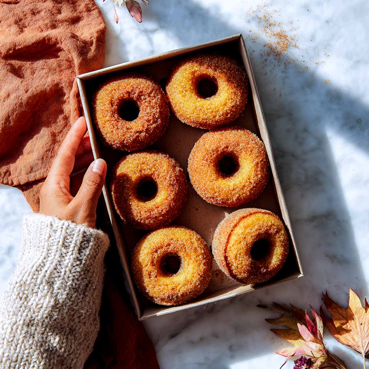 Cinnamon-sugar coated pumpkin donuts on plate.