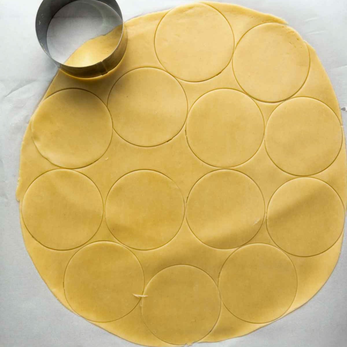 Rolled out pie dough with circular cutouts made using a cookie cutter.