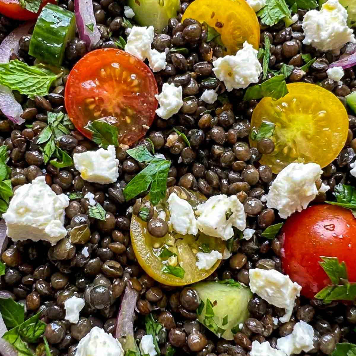 Detailed close-up of black lentil salad featuring tender lentils, feta cheese, cherry tomatoes, cucumber, herbs, and lemon dressing.