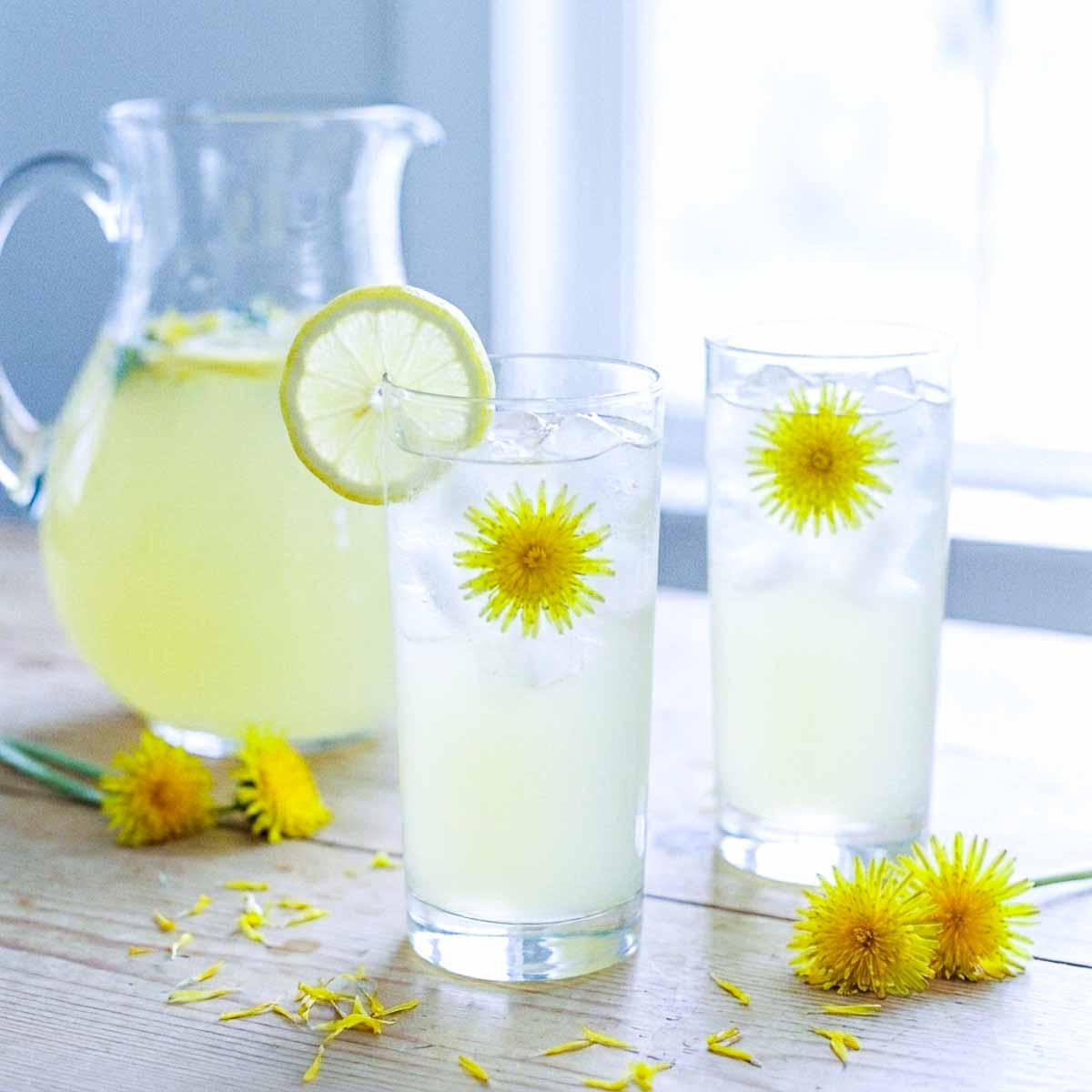 A tall glass of pale yellow dandelion lemonade with ice, fresh dandelion flowers, and a lemon slice on the rim, a glass pitcher of lemonade in the background, scattered dandelion petals on a light wooden surface, bright spring window light