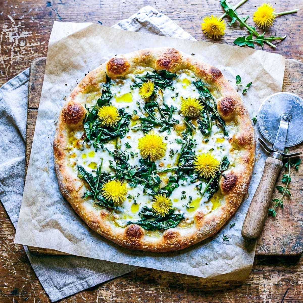 Overhead view of a round white dandelion pizza on parchment paper, golden charred crust, melted mozzarella, wilted dandelion greens and whole dandelion flowers on top, olive oil drizzle, a vintage pizza cutter and fresh dandelion stems beside it, worn wooden surface, linen napkin