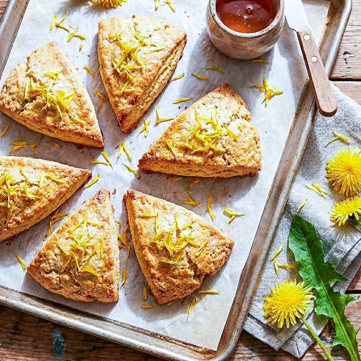 Overhead view of six golden triangular scones on parchment paper on a baking sheet, scattered with bright yellow dandelion petals, a small ceramic pot of honey and a butter knife beside them, fresh dandelion flowers on a linen napkin, worn wooden surface